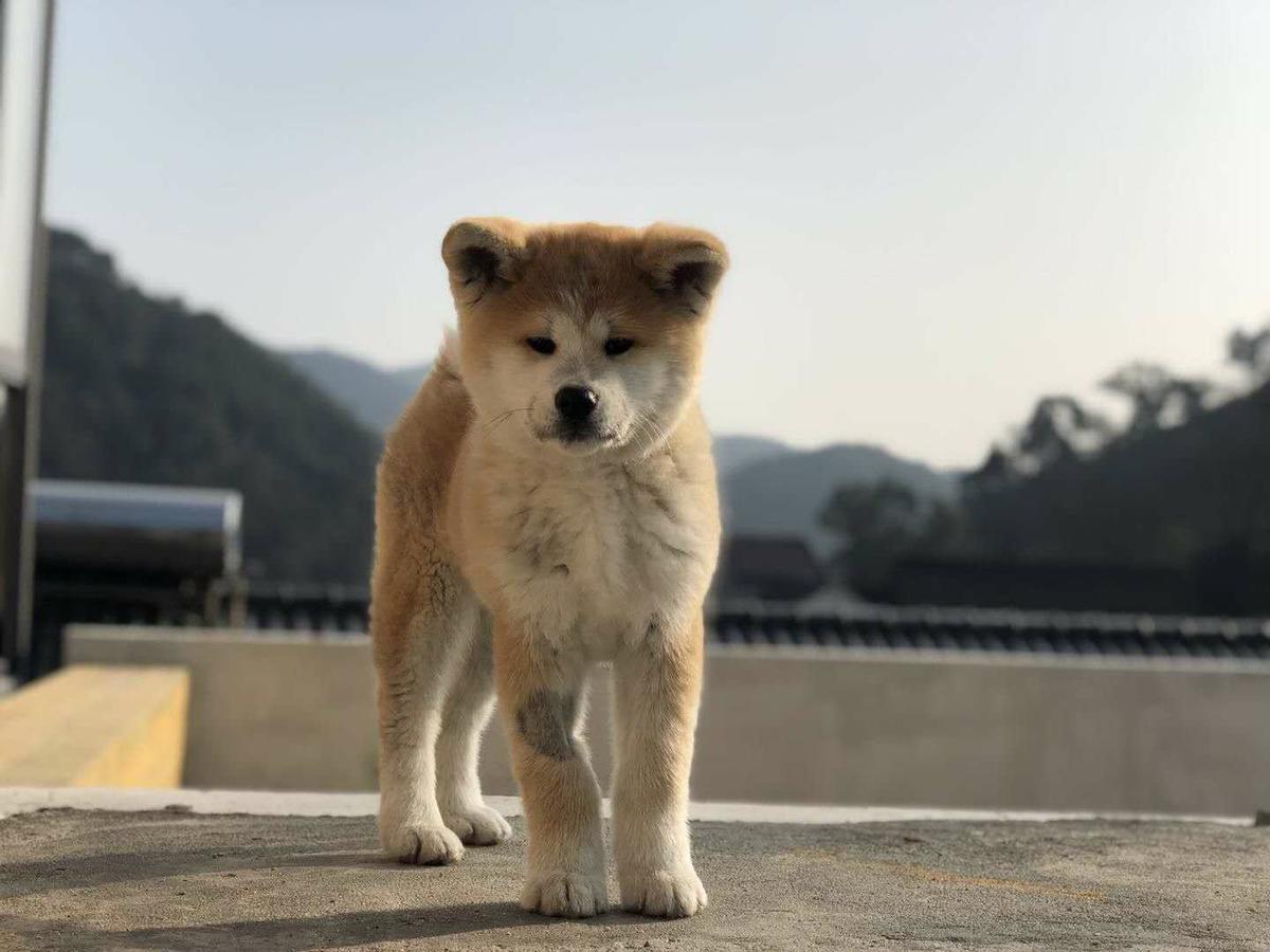 Hangzhou Sansu Hotel Zewnętrze zdjęcie